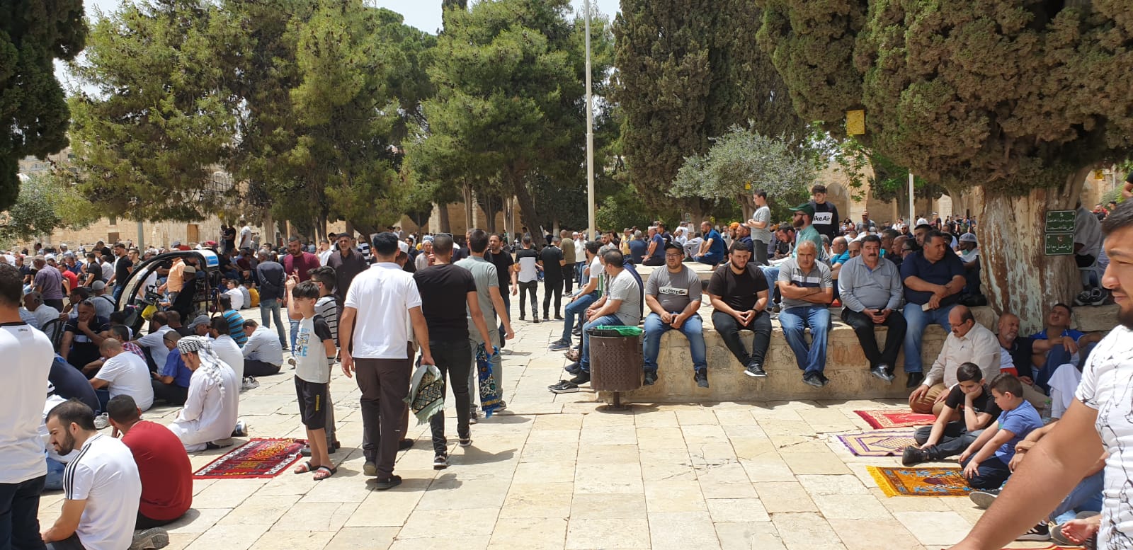 WhatsApp Image 2021-05-21 at 3.16.49 PM (1).jpeg